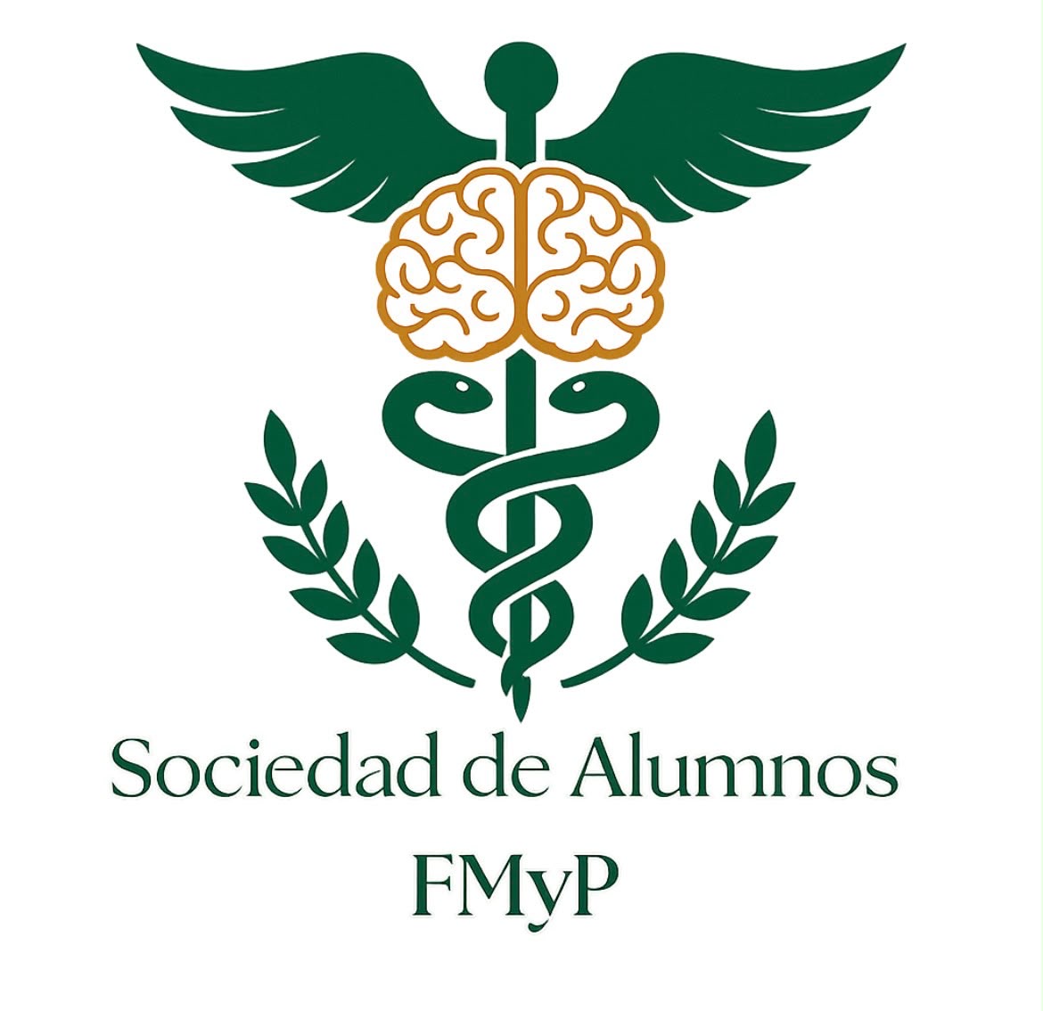 Emblema SAFMYP